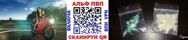 A PVP СК КРИС Щигры