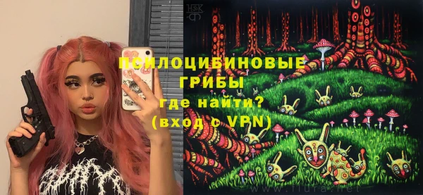 дурь Богданович