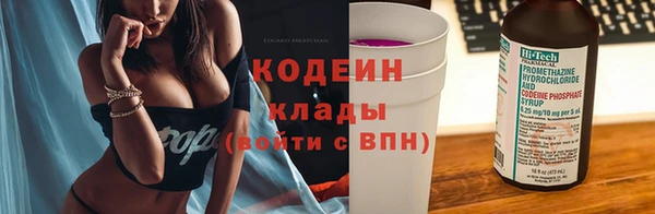 дурь Богданович