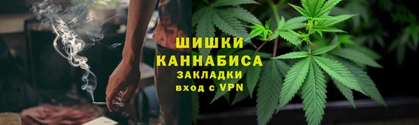 дурь Богданович