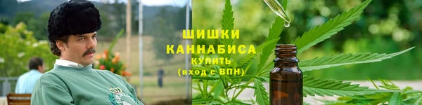 дурь Богданович