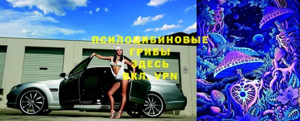 дурь Богданович