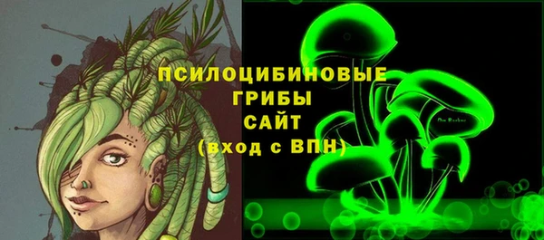 дурь Богданович