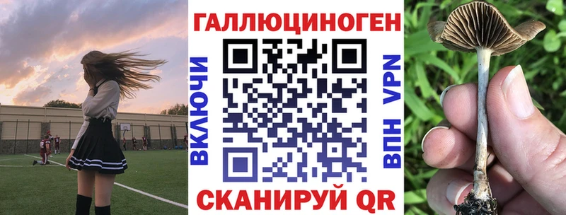 закладка  Щигры  Галлюциногенные грибы MAGIC MUSHROOMS 